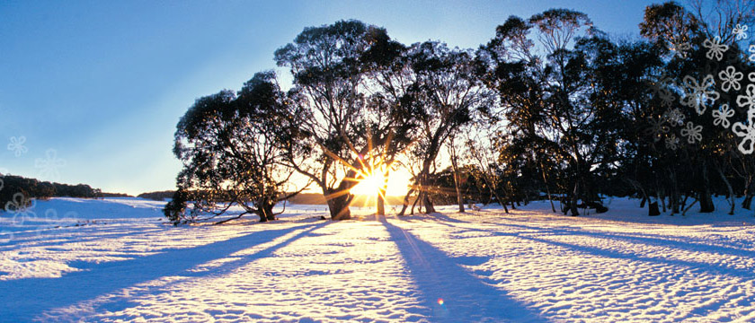 mùa đông nước Úc - Worldtrip