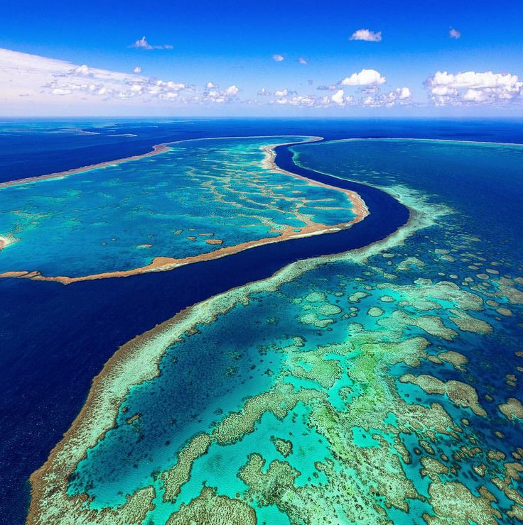 ran-san-ho-Great-Barrier-Reef-australia-du-lich-uc-Worldtrip