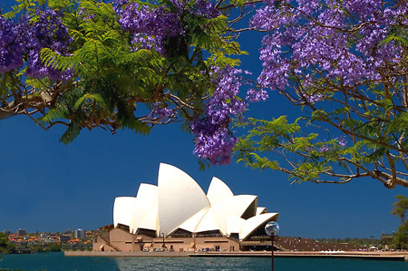 Du lịch Úc mùa xuân – Mùa xuân tại Úc 