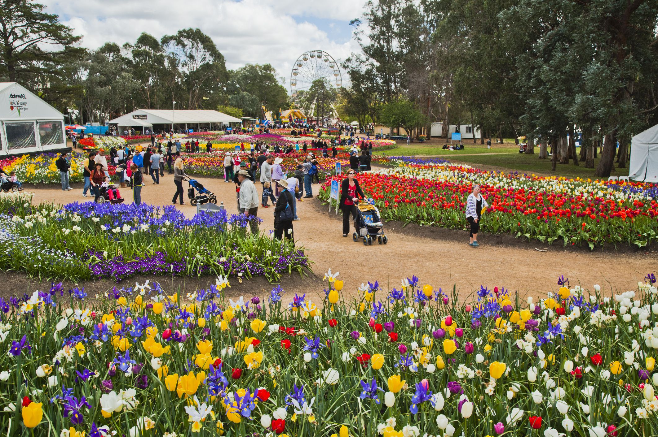 floriade festival australia