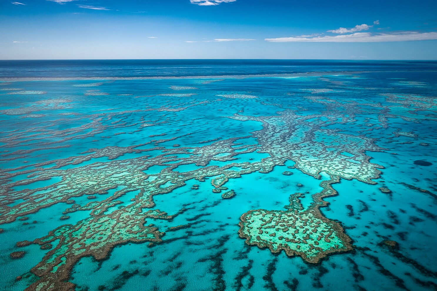 Rạn san hô Great Barrier Reef (Ảnh: Sưu tầm)